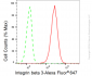 KD-Validated Anti-Integrin beta 3 Rabbit Monoclonal Antibody